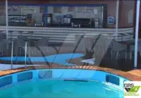 Ro-Ro ship untuk jualan