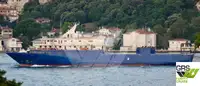 Ro-Ro ship untuk jualan
