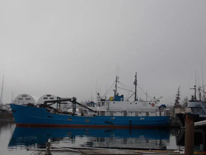 Kapal pengangkut pukal untuk dijual