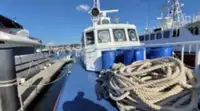 Kapal rondaan untuk dijual