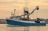 Purse seiner untuk jualan