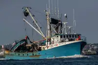 Purse seiner untuk jualan