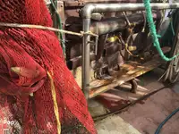Kapal pukat untuk dijual