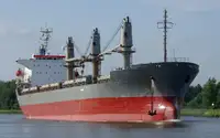 Pembawa pukal untuk jualan
