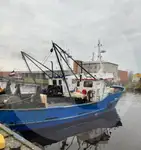 Pengangkut ikan hidup untuk jualan