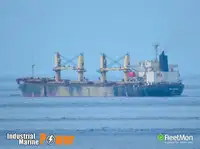 Pembawa pukal untuk jualan