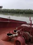 Kapal pengangkut pukal untuk dijual