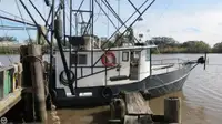 Trawler untuk jualan