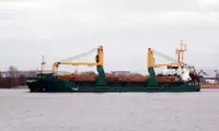 Pembawa pukal untuk jualan