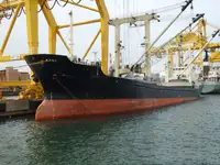 Kapal pengangkut pukal untuk dijual