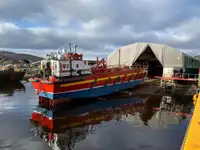 Ro-Ro ship untuk jualan