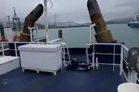 Kapal tunda untuk dijual