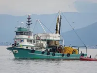 Kapal pukat lilit untuk dijual