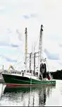 Trawler untuk jualan
