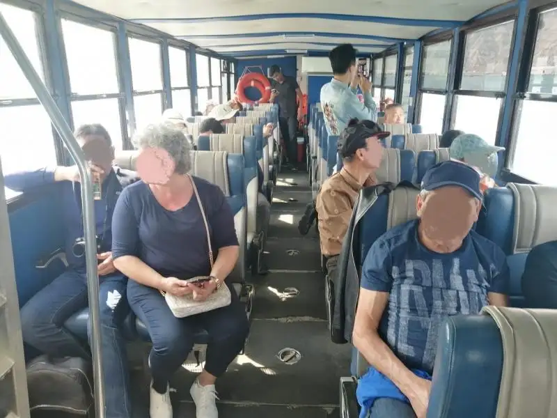 Amfibia untuk dijual