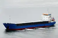 Pembawa pukal untuk jualan