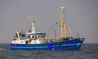 Kapal pukat tunda untuk dijual