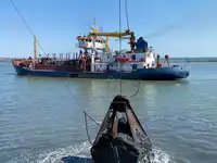 Kapal pengorek untuk dijual