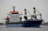 Pembawa pukal untuk jualan