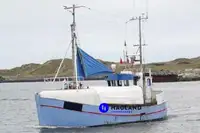 Longliner untuk jualan