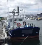 Kapal kerja untuk dijual