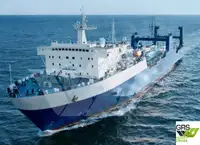 Ro-Ro ship untuk jualan