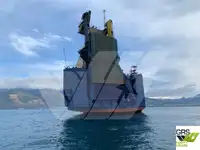 Ro-Ro ship untuk jualan