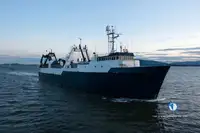 Trawler untuk jualan