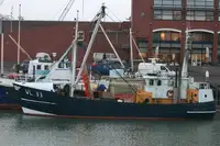 Trawler untuk jualan