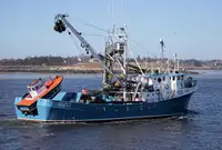 Purse seiner untuk jualan