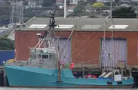 Trawler untuk jualan