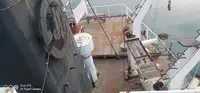 Kapal pengangkut pukal untuk dijual