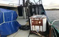 Kapal pukat untuk dijual