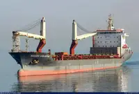 Pembawa pukal untuk jualan