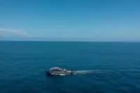 Kapal tinjauan untuk jualan