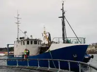 Trawler untuk jualan