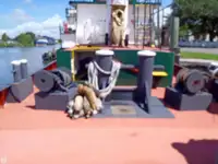 Kapal tunda untuk dijual