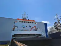 Pembawa pukal untuk jualan