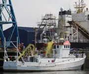 Kapal kontena untuk dijual