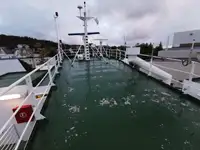 Kapal pengangkut pukal untuk dijual