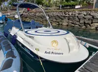 Kapal pesiar untuk jualan
