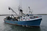 Kapal pukat lilit untuk dijual