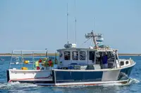 Purse seiner untuk jualan
