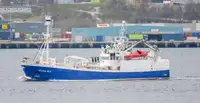 Purse seiner untuk jualan