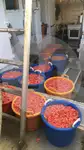 Kapal pukat tunda untuk dijual