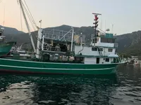 Kapal pukat lilit untuk dijual