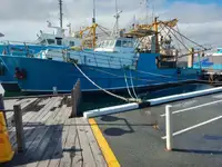 Trawler untuk jualan