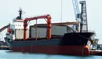 Pembawa pukal untuk jualan