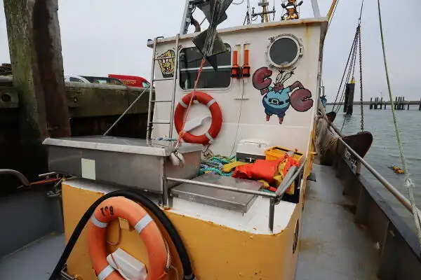 Kapal pukat untuk dijual