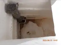 Kapal pukat lilit untuk dijual